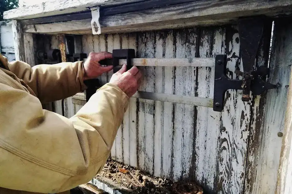 Clash Meta vs ClashX Pro